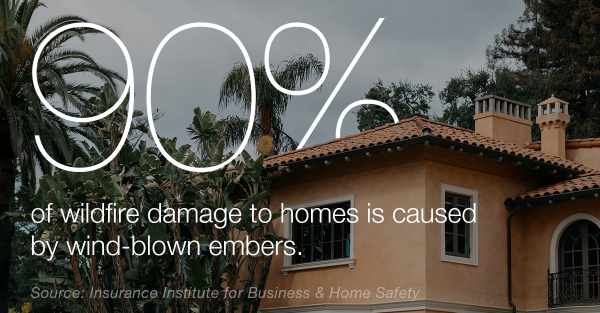 wildfire-burning-embers-stat